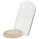 thumbnail image 5 of Cúpula de cristal transparente con forma de flor eterna para San Valentín, rosa preservada, 5 of 8