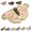 #a, variant on Vintage Colorful Butterfly Print Rug,Irregular Butterfly Moth Shaped Area Rug,Soft and Fluffy Faux Wool Mat, Dry Feet Warmth Carpet for Living Room Bedroom Bathroom Entryway Home Decor (#C)