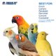 thumbnail image 4 of Acordeón arrugado Toy Prevue para arrancar plumas, 4 of 7