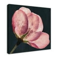 thumbnail image 2 of Creative Products Big Flower Print 30x30 Canvas Wall Art, 2 of 5