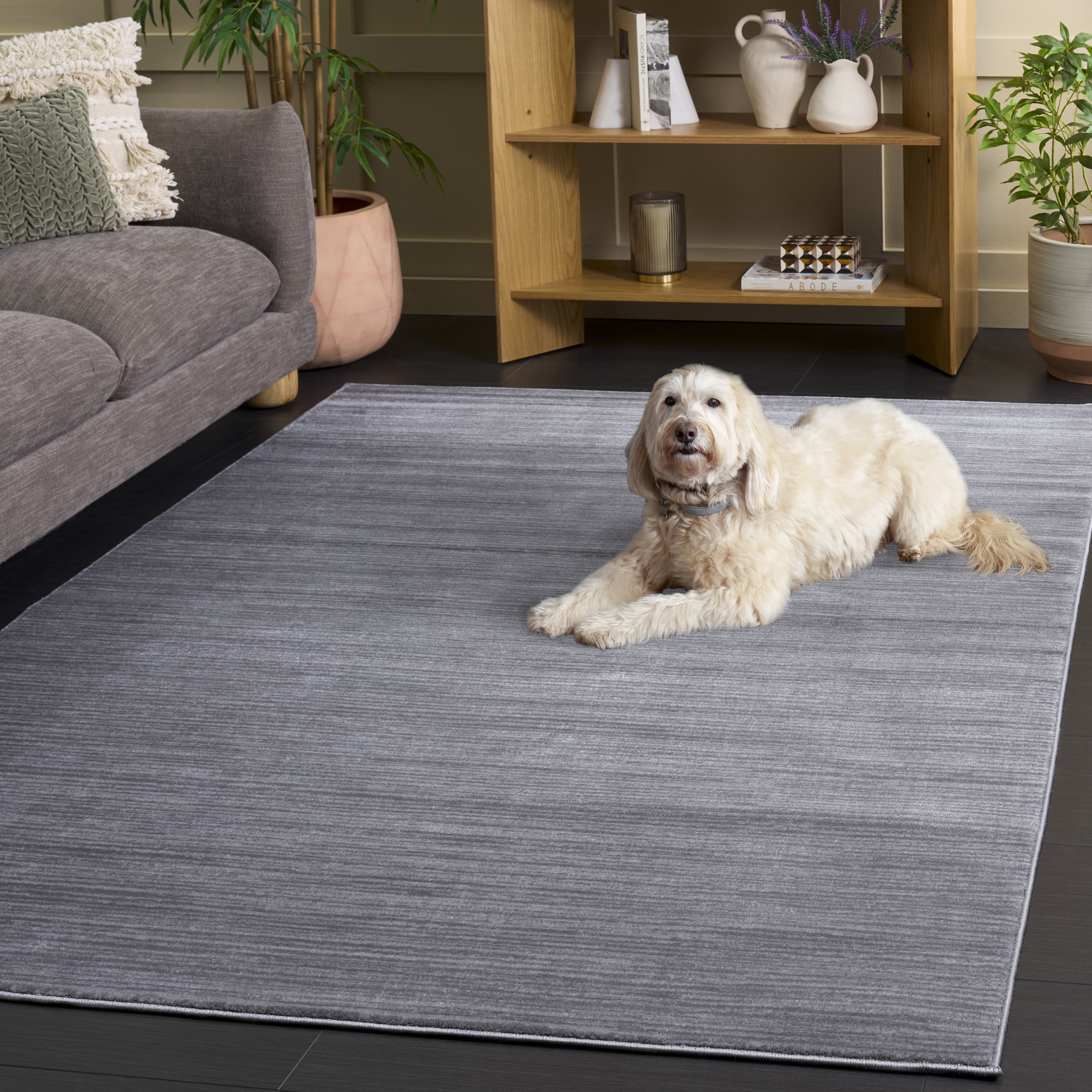SAFAVIEH Vision Adrasteia Overdyed Solid Area Rug, Silver, 9' x 12' - Large - Modern Design, Silver, Non-Shedding & Easy Cleaning, Ideal for Living Room, Bedroom, Dining Space