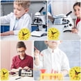 thumbnail image 5 of FRCOLOR Clock Models 5pcs Clock Model Learn To Read Time Clocks Early Educational Toys for Students,3.15"X3.15"X0.39", 5 of 5