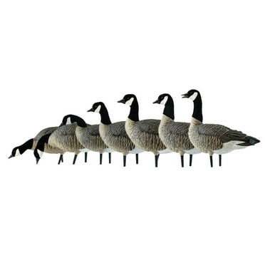 Avian X AXF Lessers Flocked Full Body Goose Hunting Decoys, 12 Pack