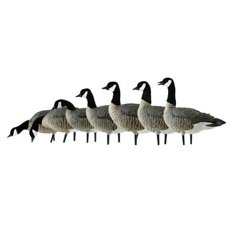 Avian X AXF Lessers Flocked Full Body Goose Hunting Decoys 12 Pack