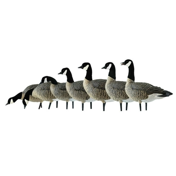 Avian X AXF Lessers Flocked Full Body Lifelike Goose Hunting Decoys, 12 Pack