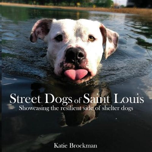 Pre-Owned Street Dogs of Saint Louis: Showcasing the Resilient Side of Shelter Dogs