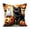 C, variant on erdimoy 4 Pack Halloween Owl Black Cat Witch Haunted Mansion Throw Pillow Covers, 17.72 Inch Pumpkin Bat Ghost Cushion Cases, Spooky Fall Sofa Porch Home Decor
