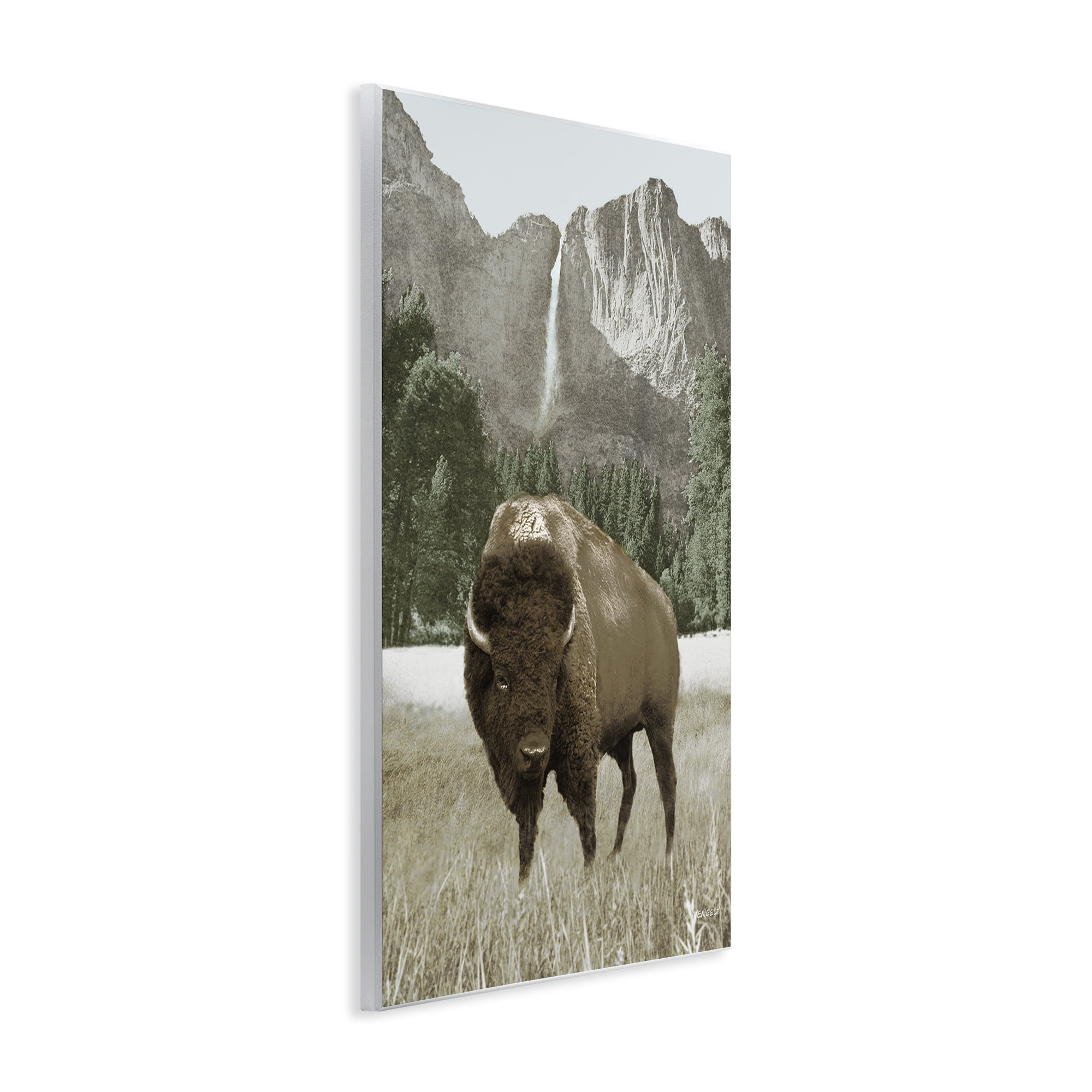 Stupell Industries Bison & Mountain Landscape Animals & Insects Photography Unframed Art Print Wall Art, 13 x 19