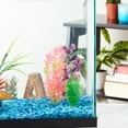 thumbnail image 2 of Penn-Plax Aqua Culture Paq. de 3 Plantes Assorties, 2 of 8