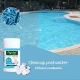 thumbnail image 4 of Chemical Test Strips For Ground Pools, Above Ground Pools, And Hot Tubs, High Precision Results In Seconds, Multi-Purpose Water Quality Monitoring, 4 of 5