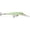 Luminous/ Green HB, variant on Storm Original Deep ThunderStick Crankbait Red Hot Tiger