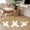 Brown, variant on Rectangle Area Rugs 2 x 3 Ft, Easter Bunny Non-Slip Residential Carpet, Cute Rabbit Family Vintage Pink Abstract Indoor Crawling Mats Runner Rugs for Living Room/Dining Room/Bedroom
