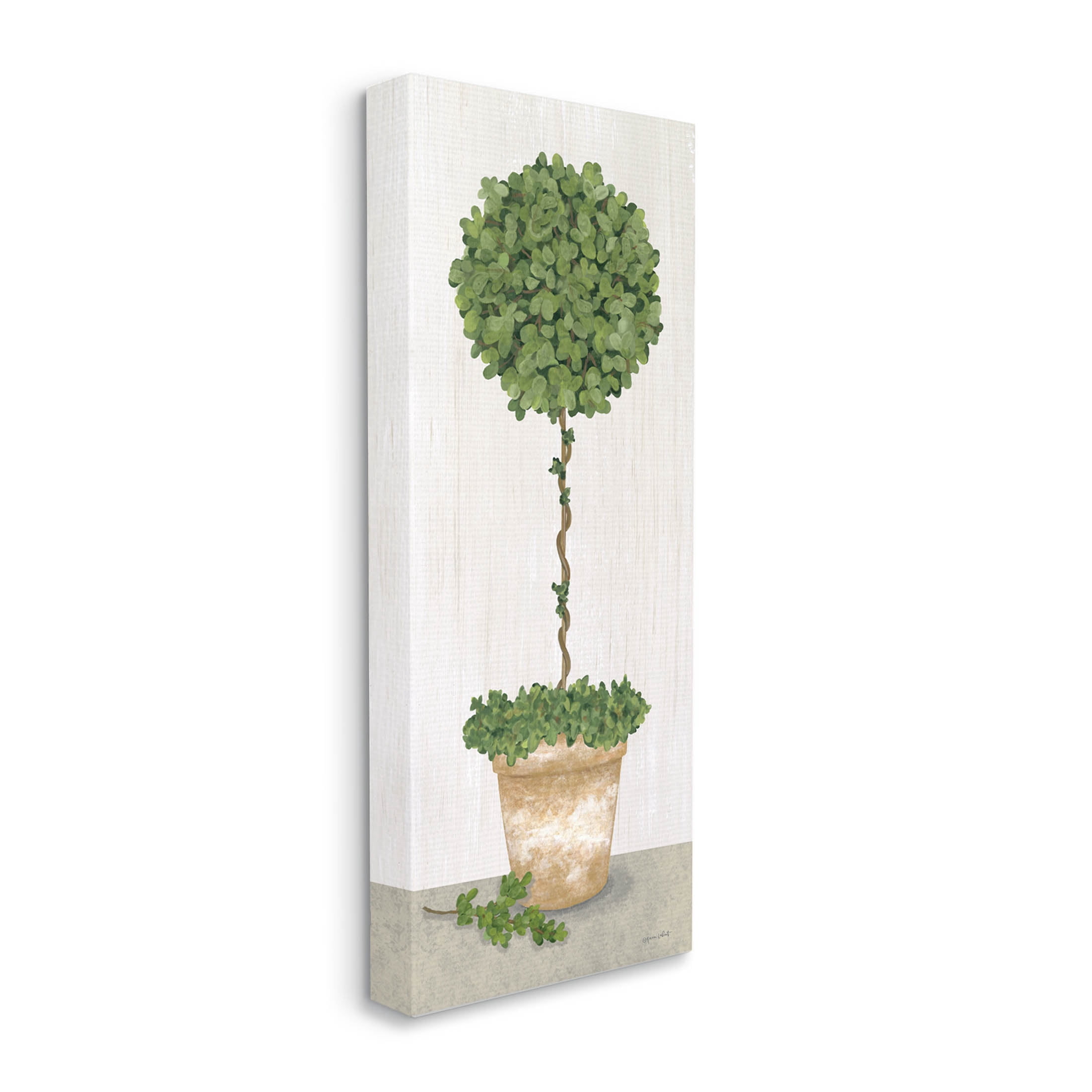 Round Botanical Potted Tree Botanical & Floral Graphic Art Gallery Wrapped Canvas Print Wall Art