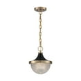 thumbnail image 6 of 60/7059-Nuvo Lighting-Faro-1 Light Small Pendant in Transitional Style-10 Inches Wide by 11.38 Inches High-Burnished Brass/Black Finish, 6 of 6