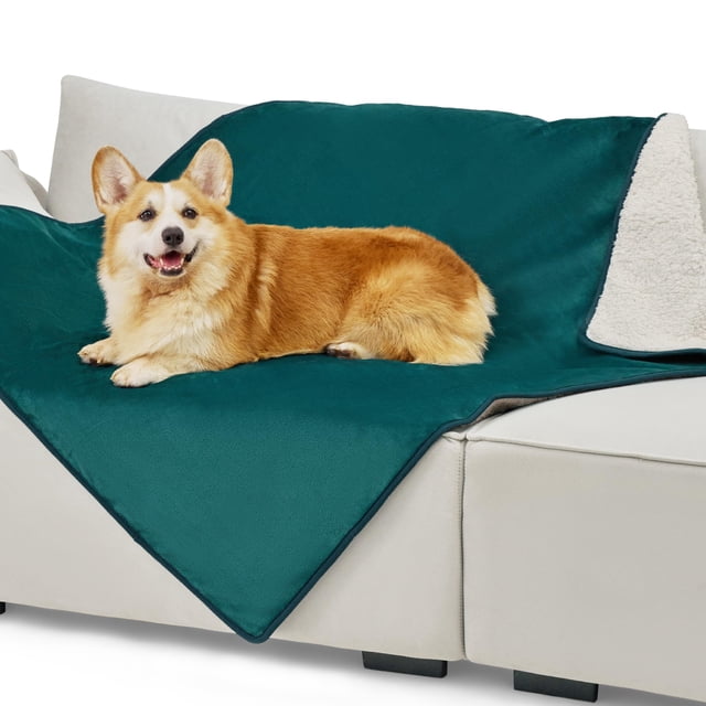Manta impermeable calmante Bedsure para gatos para sofá 50x40 cm Verde