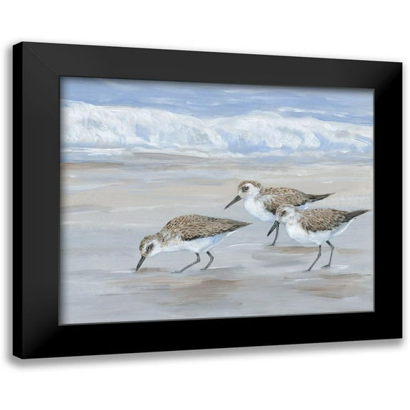 OToole, Tim 14x12 Black Modern Framed Museum Art Print Titled - Sandpipers II