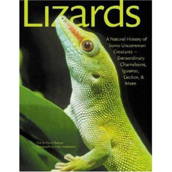 Pre-Owned Lizards (Hardcover)