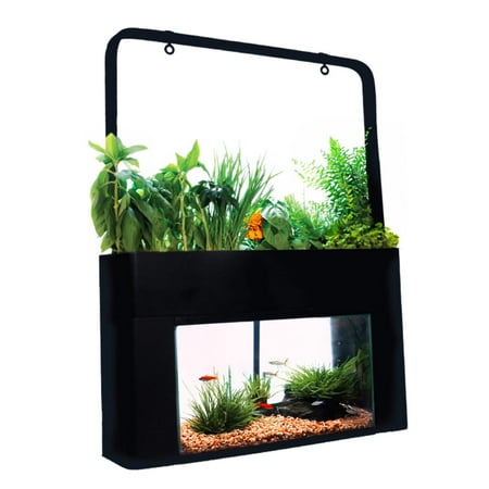 AquaSprouts Aquaponics Garden