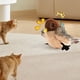thumbnail image 5 of Juguetes Interactivos para Gatos con Control Remoto, Pájaro con Batientes, Gorrión, Juguete con Chirrido Vívido, Pájaro de Simulación, Juguete para ., 5 of 9