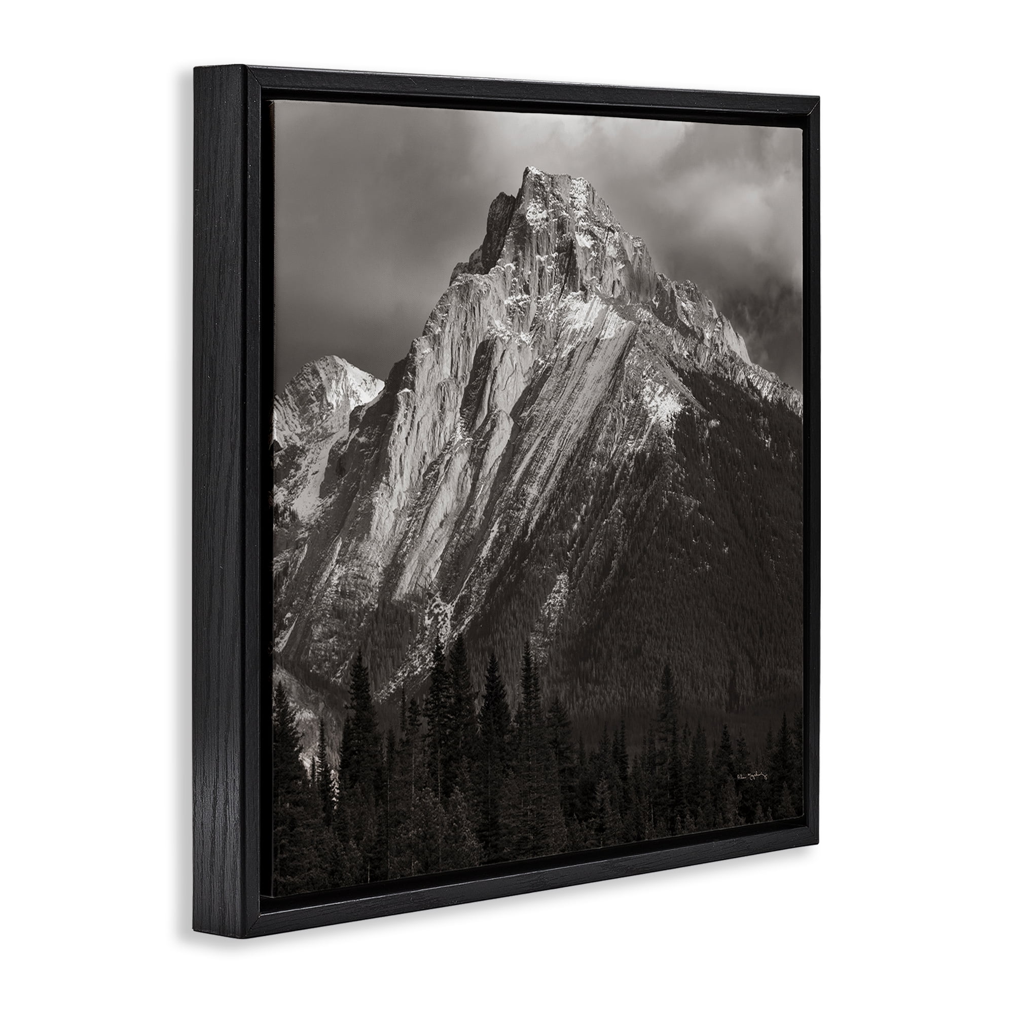 Stupell Industries Canadian Rockies View Landscape & Nature Photography Black Floater Framed Canvas Art Print Wall Art, 25 x 25