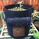thumbnail image 1 of Planter Bags Nonwoven Garden Potato Planting Bags, Vegetable Planting Bags, Large Capacity Portable Foldable, Breathable Nonwoven Material, for Balcony Home Garden Decor, Easy to Store and, 1 of 8