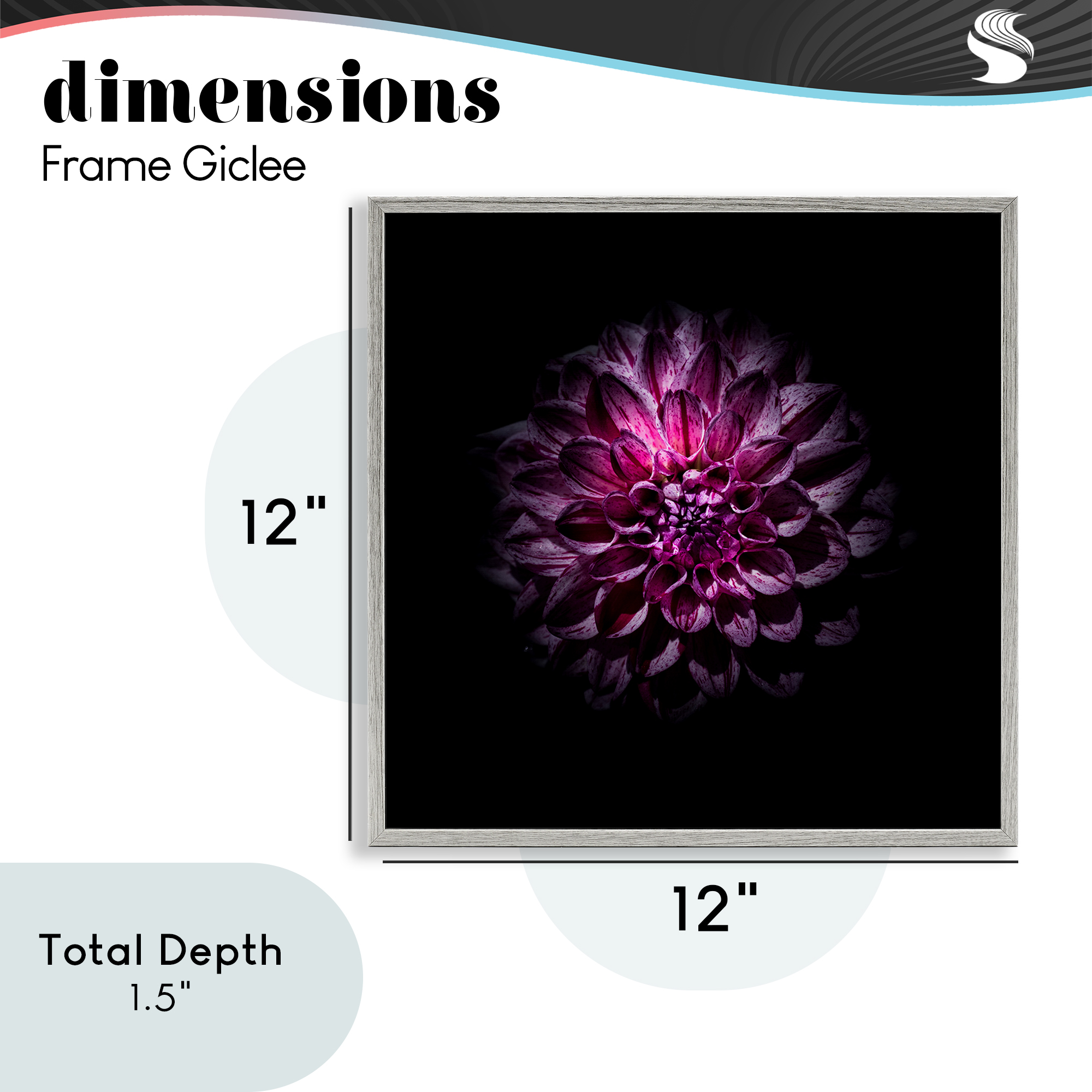 Purple Dahlia Dark Contemporary Gray Framed Giclee Art, design by Brian Carson Photography