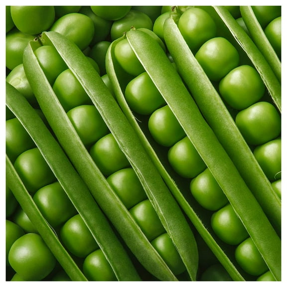 Everwilde Farms - 1 lb Green Arrow Garden Pea Seeds - Gold Vault Bulk Seed Packet