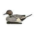 thumbnail image 4 of AVIAN-X Topflight Pintails Durable Ultra Realistic Floating Hunting Duck Decoys, Pack of 6, AVX8082, 4 of 13