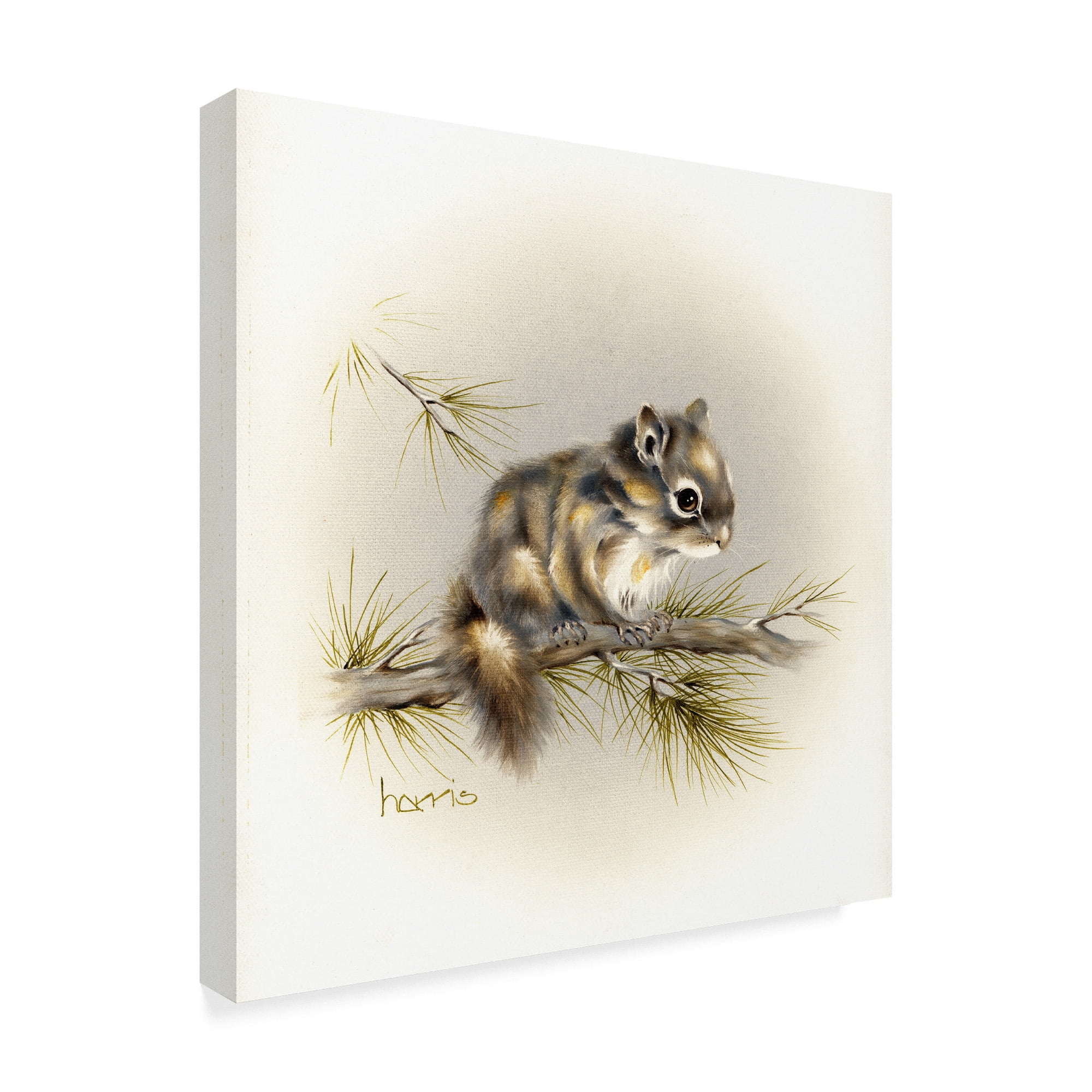Trademark Fine Art 'Tattle Tail Baby' Canvas Art by Peggy Harris