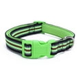 thumbnail image 2 of CHBORLESS 2 Pack Reflective Dog Collar Adjustable Nylon Pet Puppy Collar with Neoprene Padded,Blue Green,M, 2 of 7
