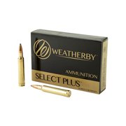 Wby Ammo 300wby 180gr Spire 20/200