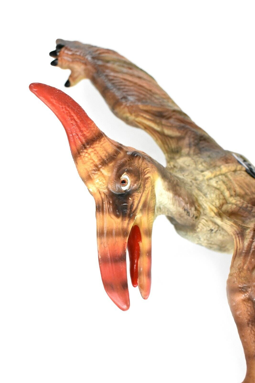 Pterodactyl, Dinosaur Toy, Large Realistic Model Rubber Replica, Desk Toy  Gift 27 CWG77 BB25