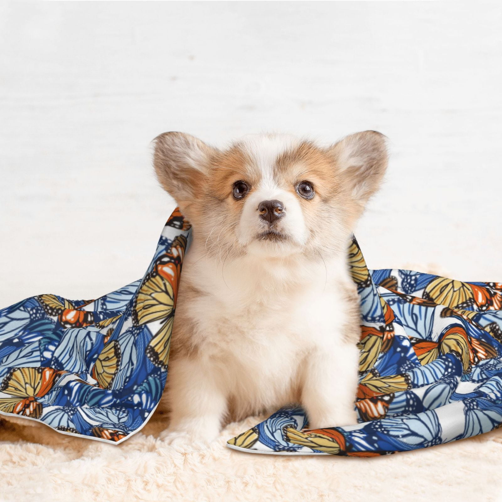 Naloa Colorful Butterfly1 Dog Blanket, 3 Sizes Cat Blanket for Indoor Cats Large Medium Small Dog Gifts-Medium