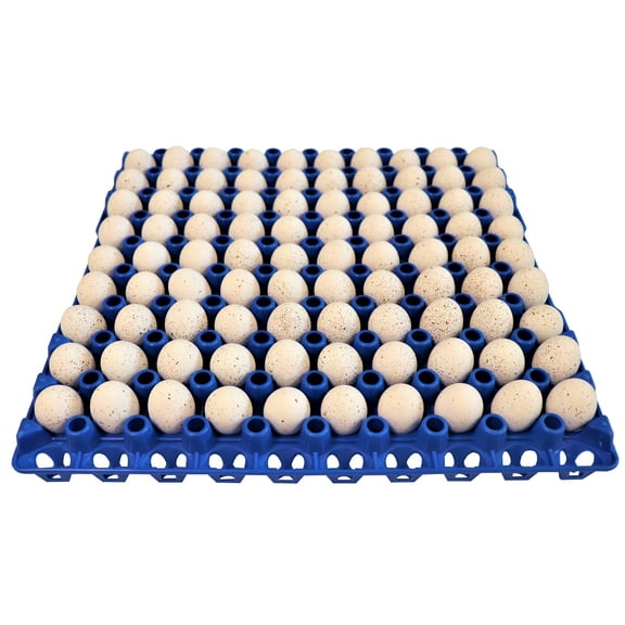 48 RITE FARM PRODUCTS 90 EGG PLASTIC TRAYS QUAIL PIGEON DOVE BIRD FLAT CARTON