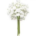 thumbnail image 1 of 12 Narcisos Miniatura Champán Artificiales - Ramos Crema DIY, Centros de Mesa, Decoraciones for Bodas, Decoración de Mesas de Temporada | Decoraciones Exquisitas | Pétalos Delicados, 1 of 2