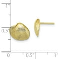thumbnail image 4 of Solid 10K Yellow Gold Clam Shell Post Earrings - 9.11mm, 4 of 6
