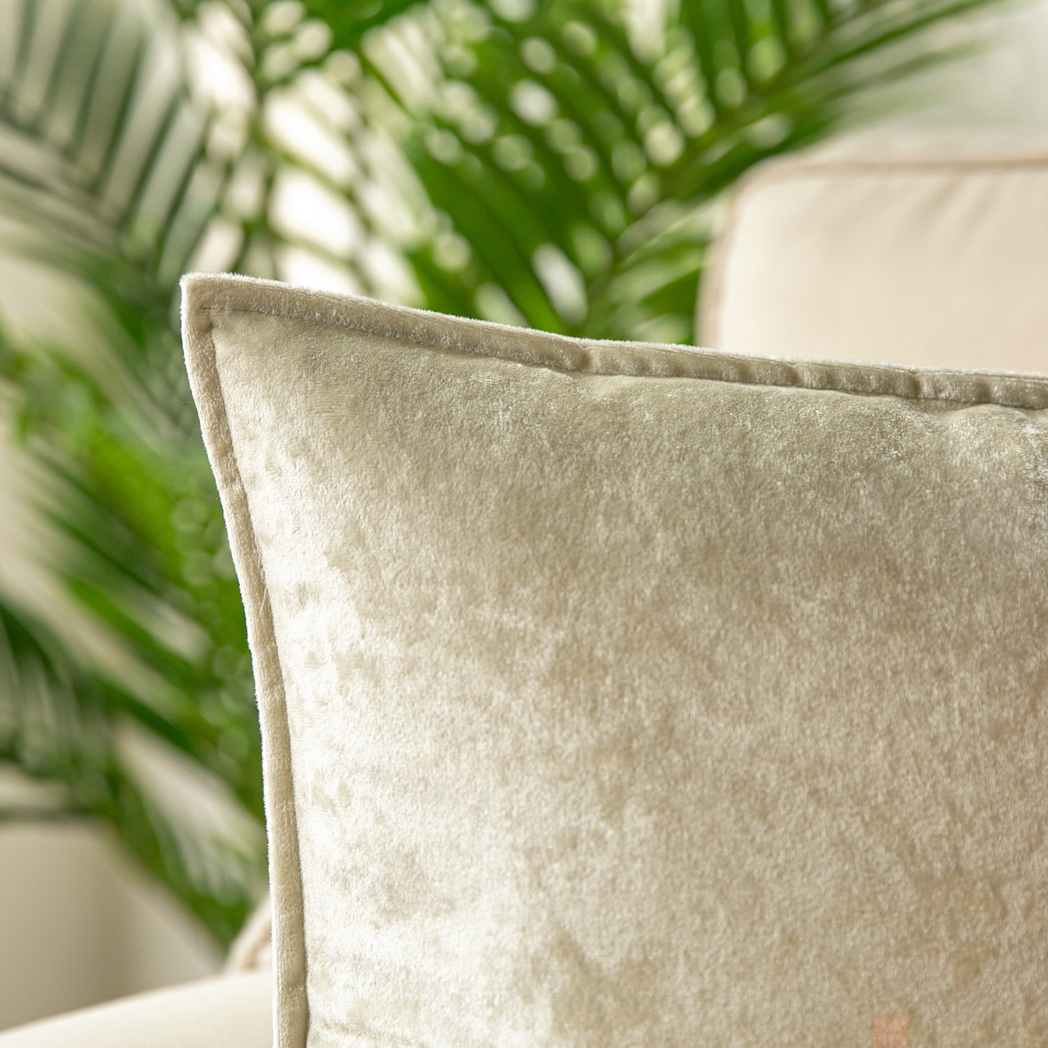 Phantoscope Patterned Velvet Decorative Throw Pillow with Tailored Edge, 18 x 18 in, Off White, 1 Pack
