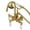 Brushed Brass, variant on Kingston Brass AE11T8 Aqua Vintage Wall Mounted Clawfoot Tub Filler - Nickel
