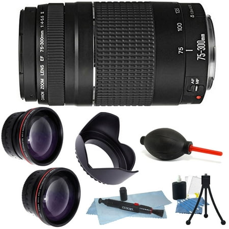 Canon Zoom Telephoto EF 75-300mm f/4.0-5.6 III Autofocus Lens + 58mm (Best 75 300 Lens For Canon)