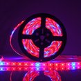 thumbnail image 2 of Impermeable 5050 Flexible Led Grow Strip Light Rojo Y Azul 5: 1 Acuario Invernadero Planta Hidropónica Creciente Cinta Lámpara 60Led / M 1M / 2M / 3M / 4M / 5M matsuzay HA024176-00, 2 of 5