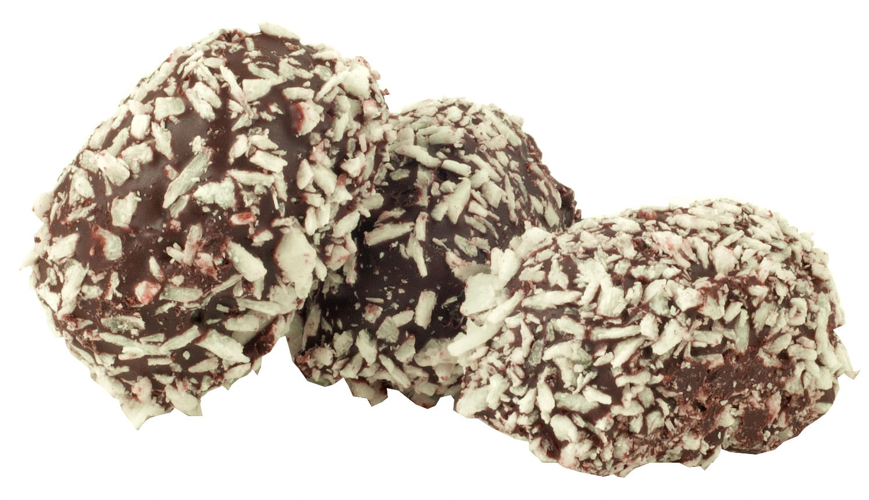 (2 pack) Idaho Spud Bites Chocolate Marshmallow Coconut, 3 oz Bag Idaho Candy Company