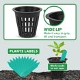 thumbnail image 3 of Net Pots for Hydroponics 2 Inch, 50 Pack Garden Slotted Mesh Plastic Plant Net Cups with Plant Labels, Wide Lip Round Bucket Basket for Hydroponics & Aquaponics (2" Net Pot, 50 Pack), 3 of 7