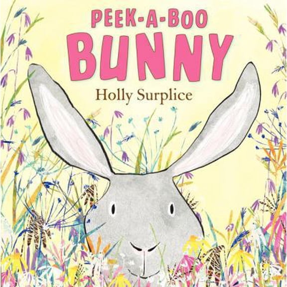 Pre-Owned Peek-A-Boo Bunny: An Easter and Springtime Book for Kids (Hardcover) 0062242652 9780062242655