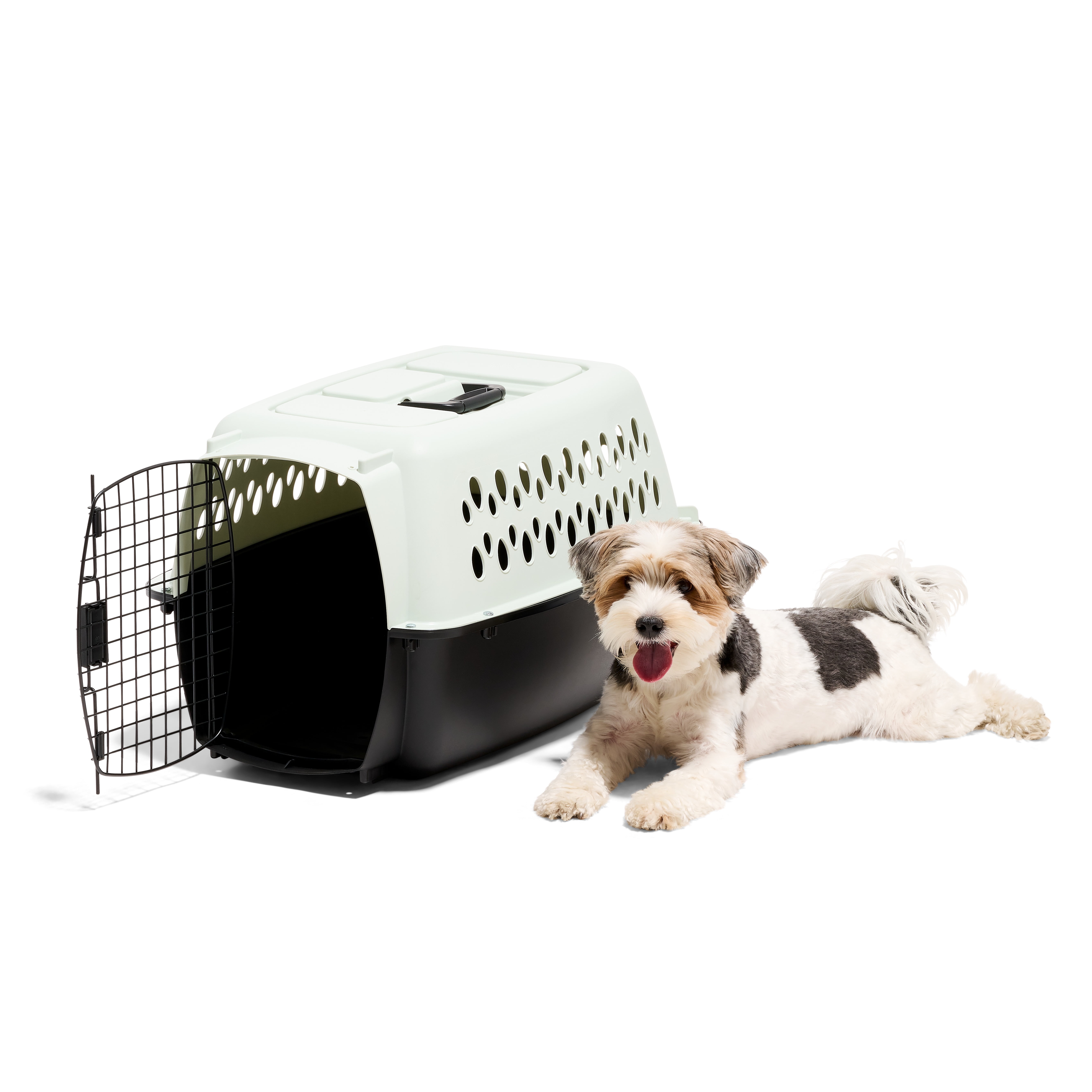 Petmate Pet Porter Fashion Travel Dog Kennel Portable Plastic Carrier, Small 24" for Dogs 15-20 lb, Green
