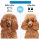 thumbnail image 3 of BRILLAR Cepillo autolimpiante para perros y gatos: eliminación eficaz del pelo de hasta el 95 % del pelo muerto y enredado, ideal para perros y gatos de pelo corto, 3 of 3
