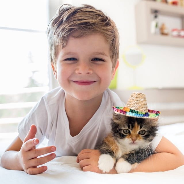 IDEANATEGRATE 2Ud Accesorios De Vestir Para Mascotas Sombreros Decorativos De Paja Para Eventos