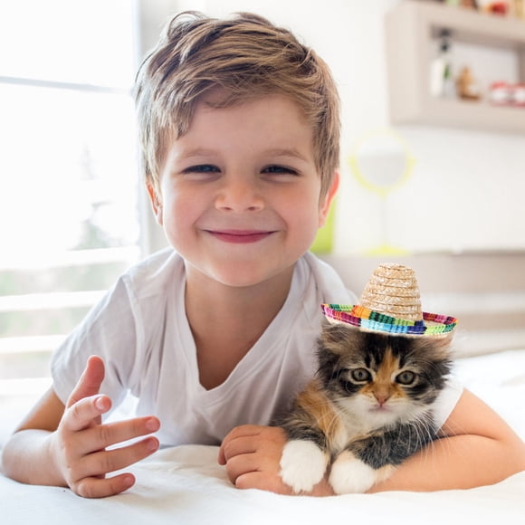 IDEANATEGRATE 2Ud Accesorios De Vestir Para Mascotas Sombreros Decorativos De Paja Para Eventos