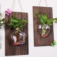 thumbnail image 1 of Tablero de madera + jarrón con forma de ratón para colgar en la pared, decoración de fondo, planta hidropónica, colgante de pared, jarrón pequeño de vidrio de eneldo verde, 1 of 7