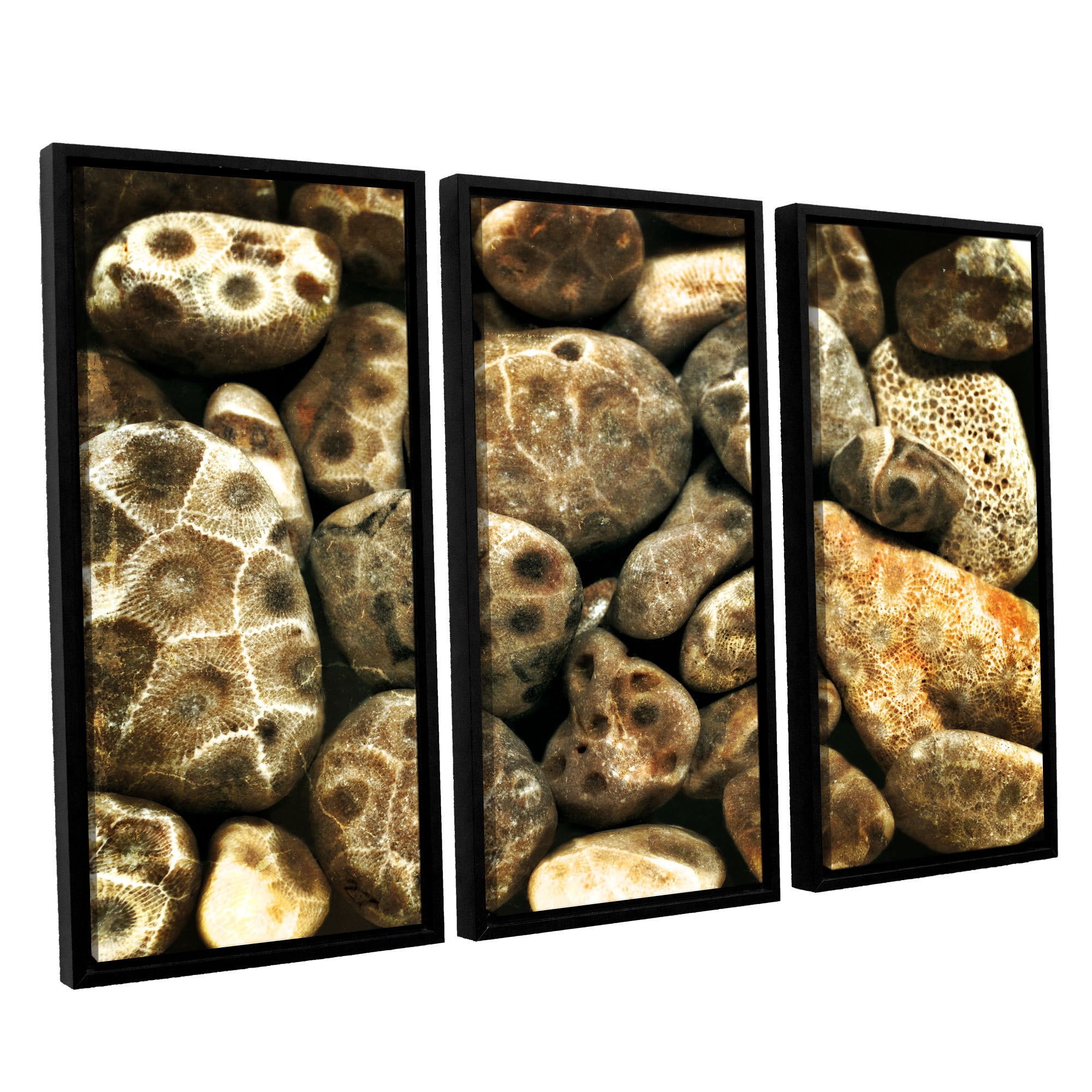 ArtWall Kevin Calkins "Petoskey Stone Collage" 3-Piece Floater Framed Canvas Set