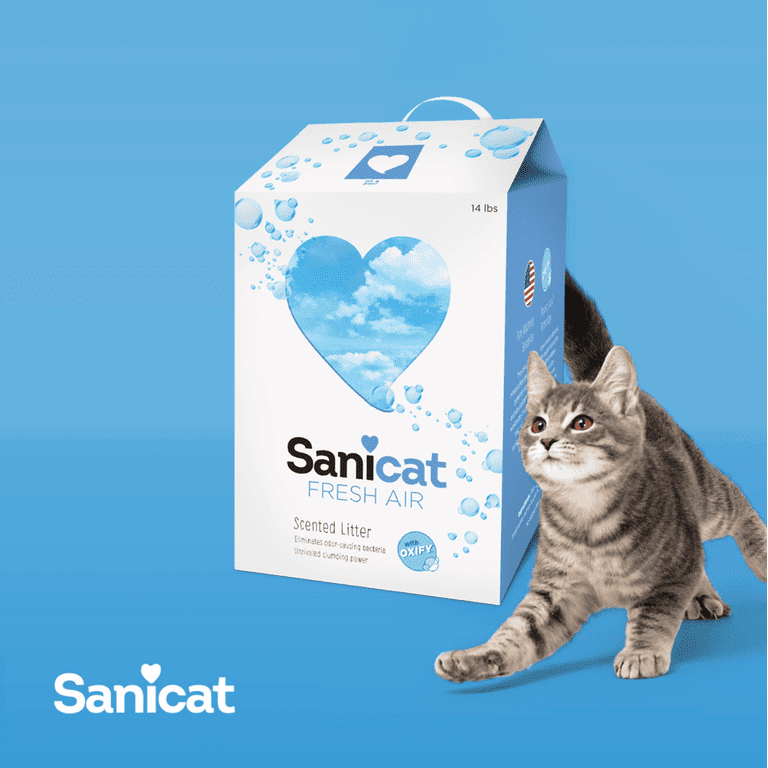 Sanicat clean top & green wood
